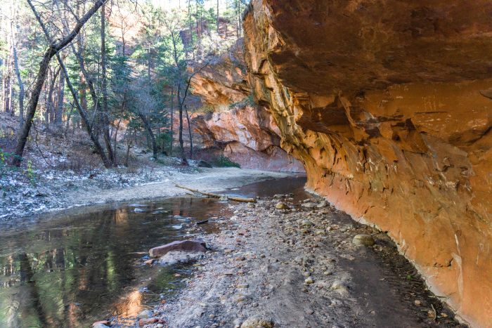 Icy Trails in Sedona