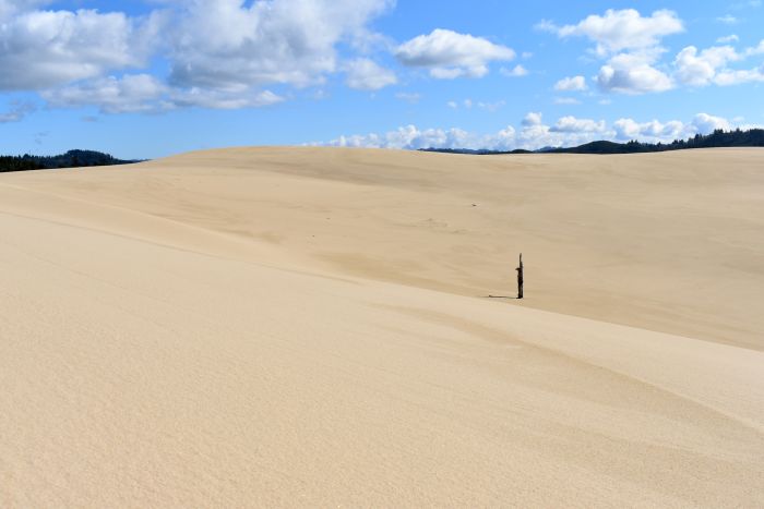 Oregon Sand Dunes