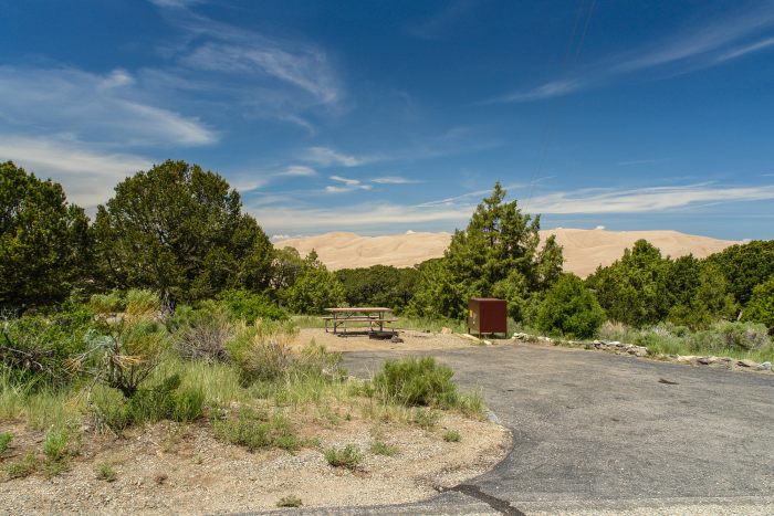 Piñon Flats Aea in Great Sand Dunes National Park