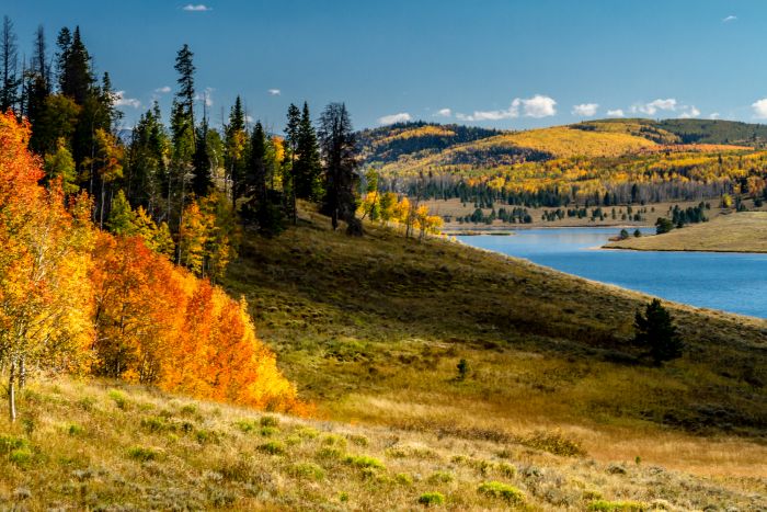 Fall in Steamboat Springs