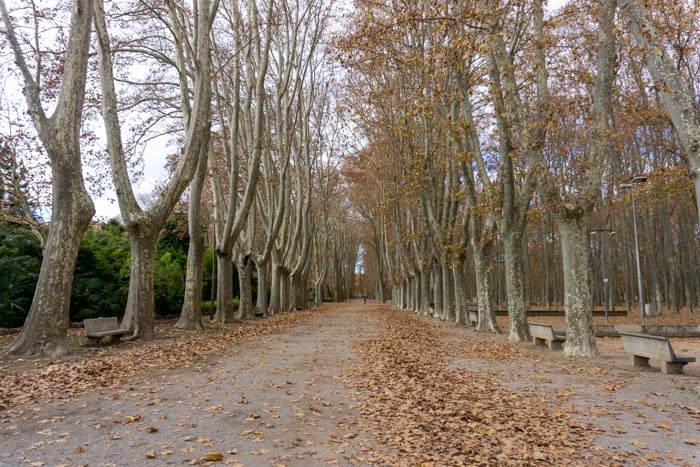 Parc de la Devesa