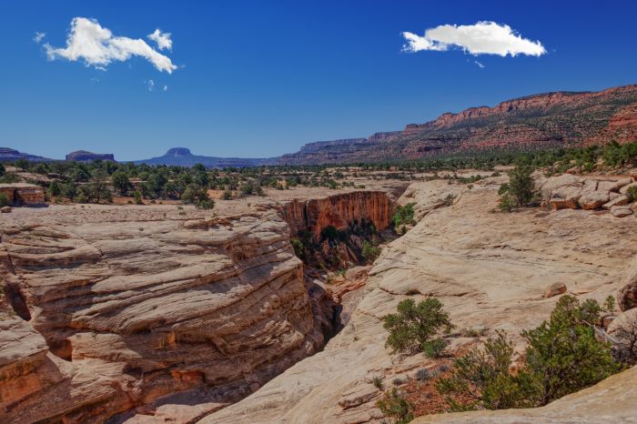 Fry Canyon Ruins in Bears Ears National Monument