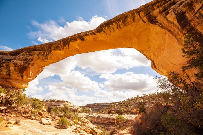 Owachomo Bridge in Natural Bridges National Monument