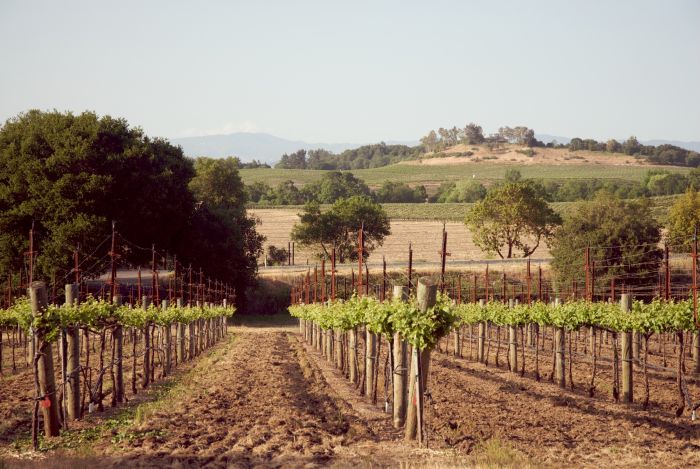 Sonoma Valley