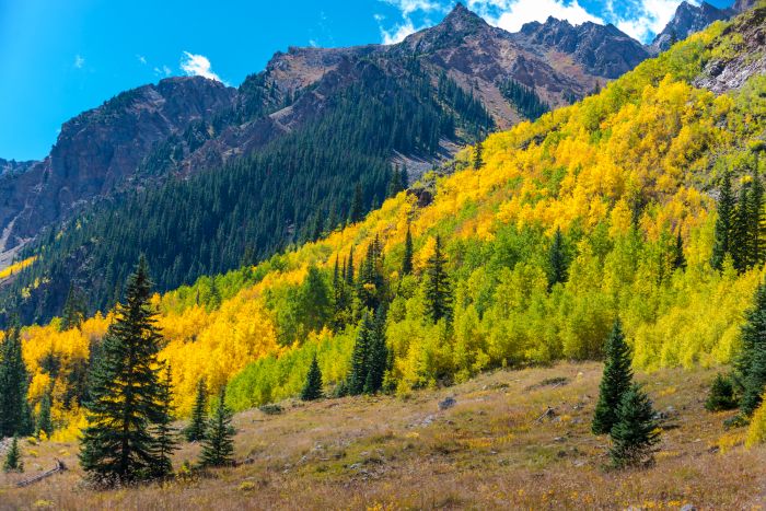 Conundrum Hot Springs Trail