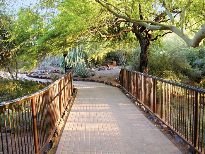 Desert Botanical Gardens