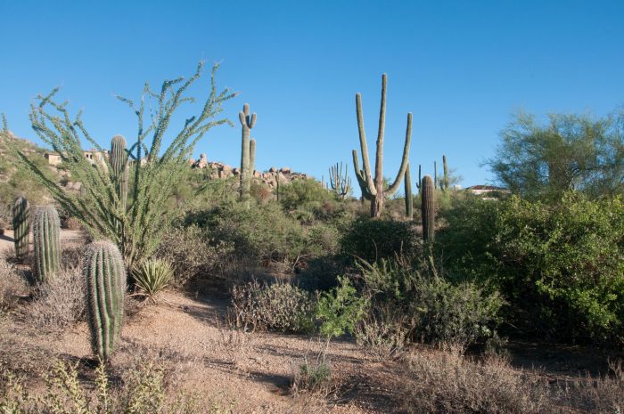 Hiking in Pinnacle Peak