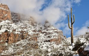 Snow in the Sonoran Desert near Tucson