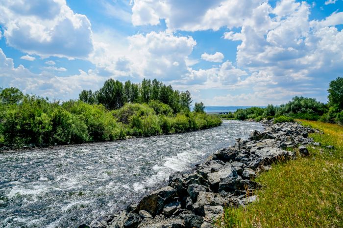 Madison River in Montana