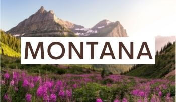 Montana