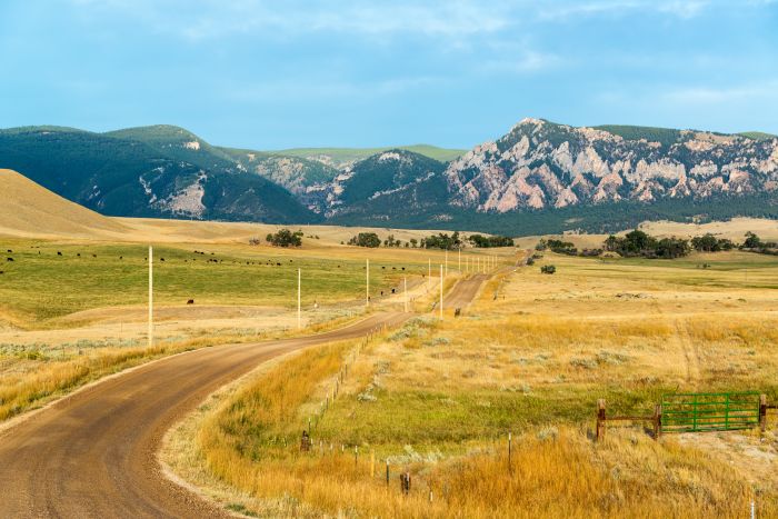 Dirt road leading through to the Bighorn Mountains