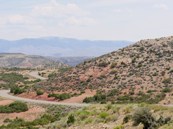 Winding road near the Wyoming and Montana border.
