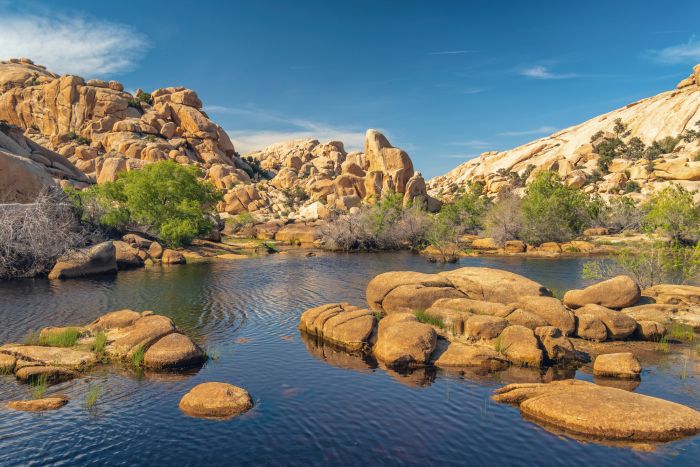 Beautiful Joshua Tree National Park