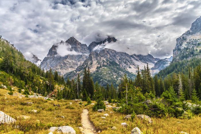Cascade Canyon Trail