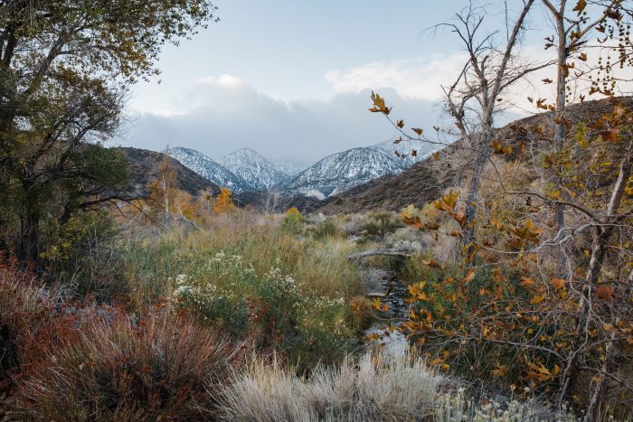 Angeles National Forest