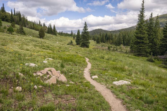 Hiking in the Indian Peaks Wilderness