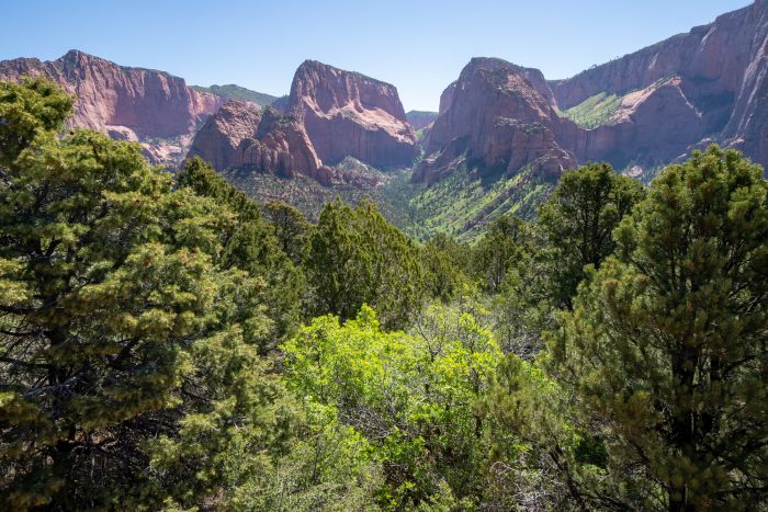Kolob Canyons on a bright sunny day