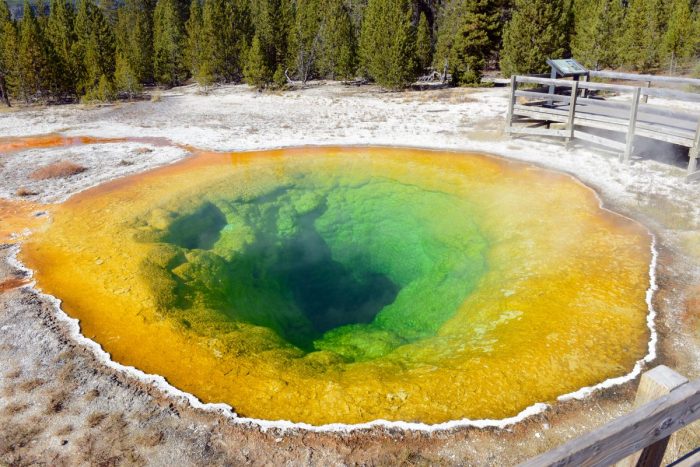 Morning Glory Hot Spring in Yellowstone NP