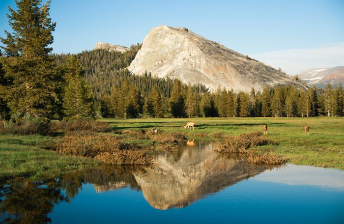 Tuolumne Meadows