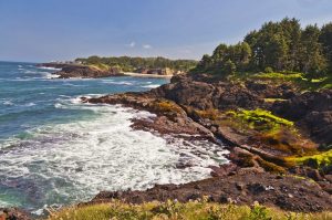 The Oregon Coast is a highlight of the Pacific Northwest