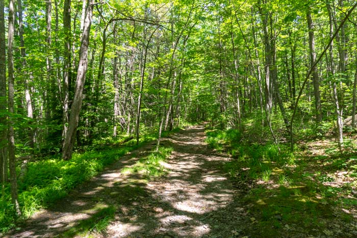Hiking in Camden Hills State Park
