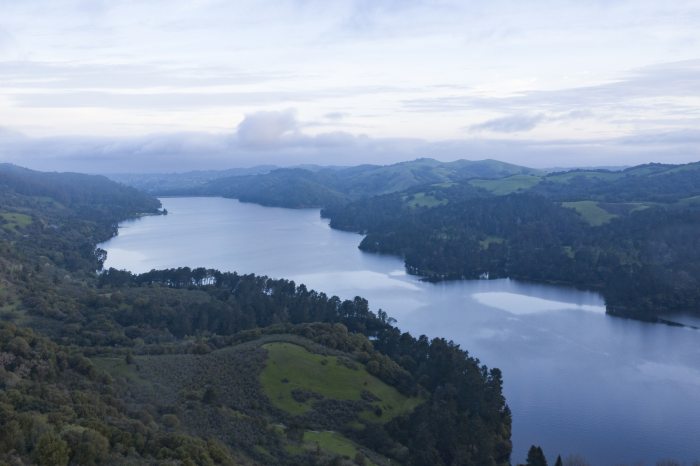 San Pablo Reservoir near Tilden Regional Park