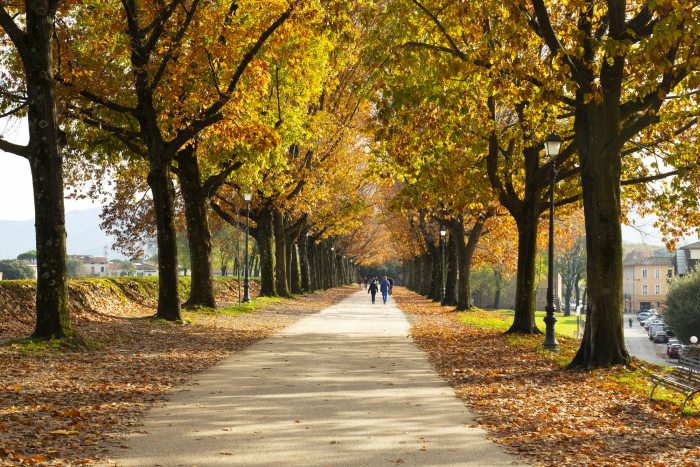 Walking through Lucca in autumn
