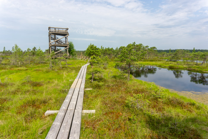 Kemeri Bog Walk