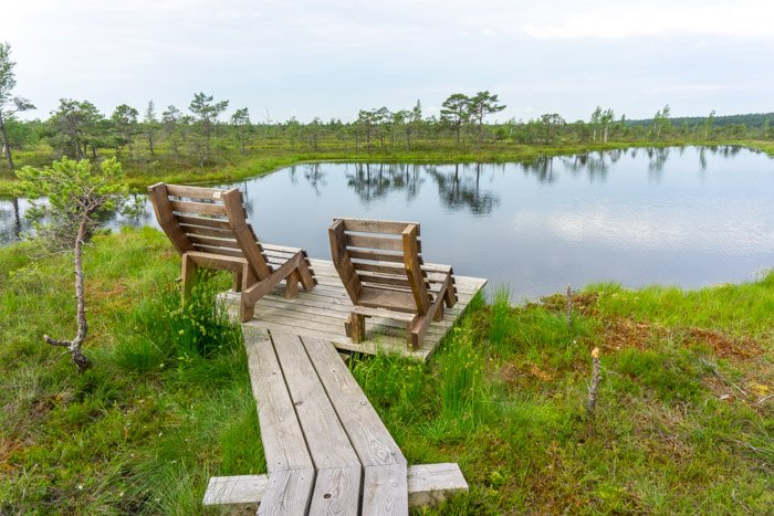 Benches in Kemeri National Park