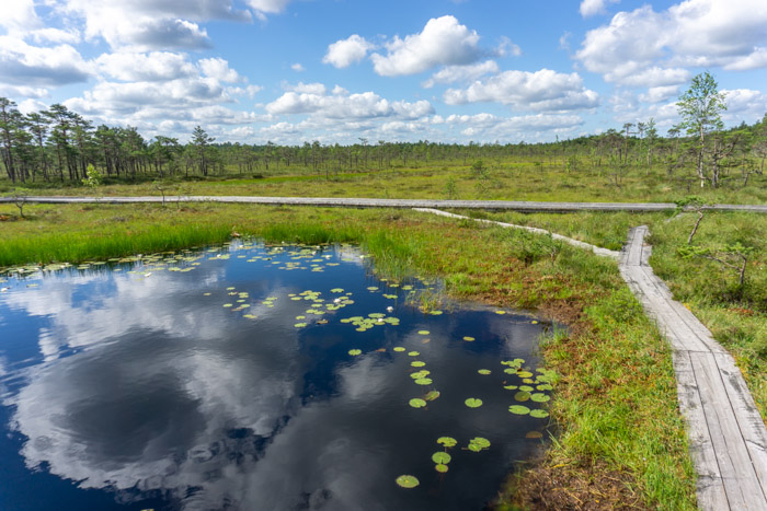 Beautiful Soomaa National Park