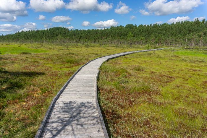 Walking in Soomaa National Park