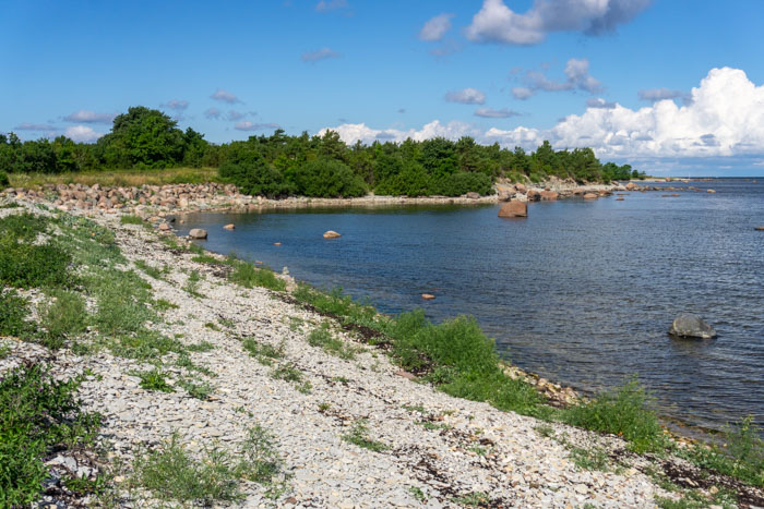 Saaremaa's Beautiful Coastline