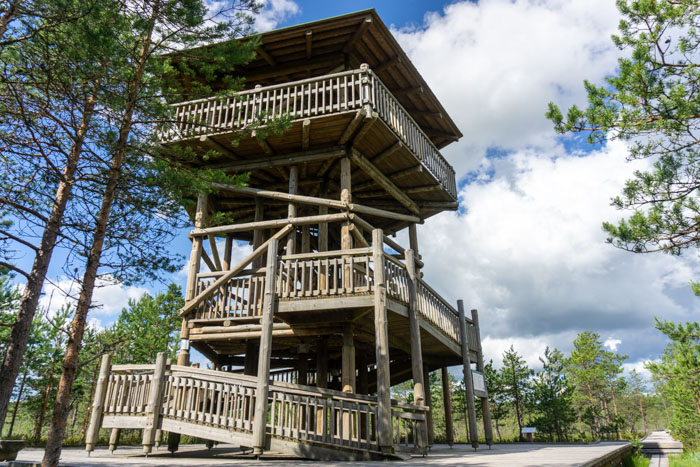 Watchtower on the Viru Bog Trail