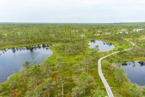 View of Kemeri National Park