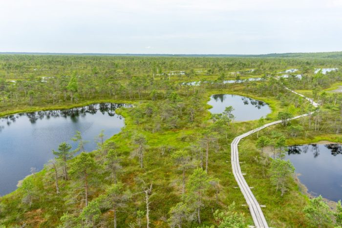 View of Kemeri National Park