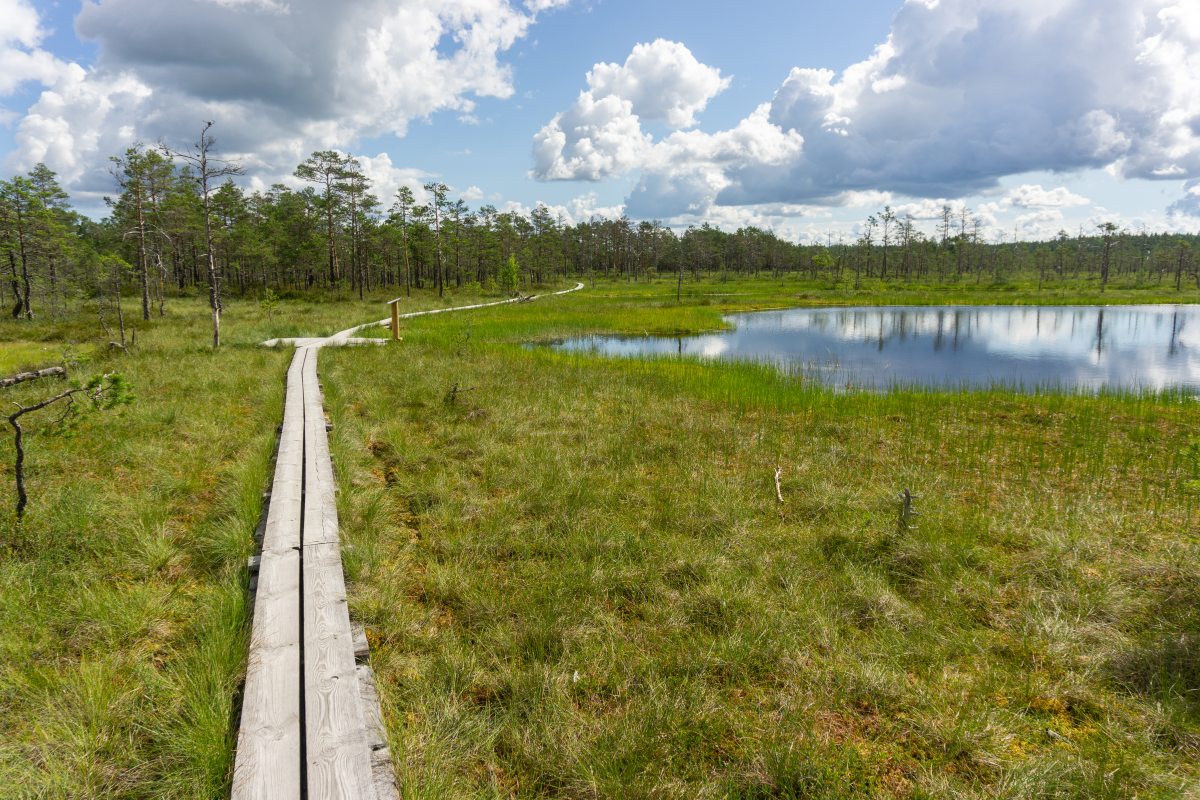 Beautiful Lahemaa National Park