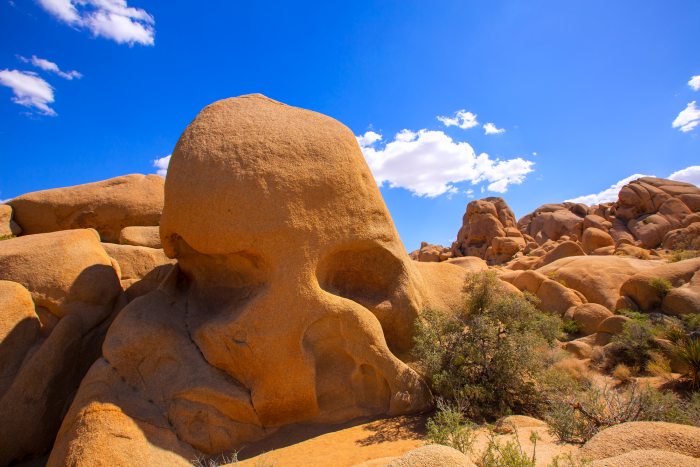 Skull rock in Joshua tree National Park