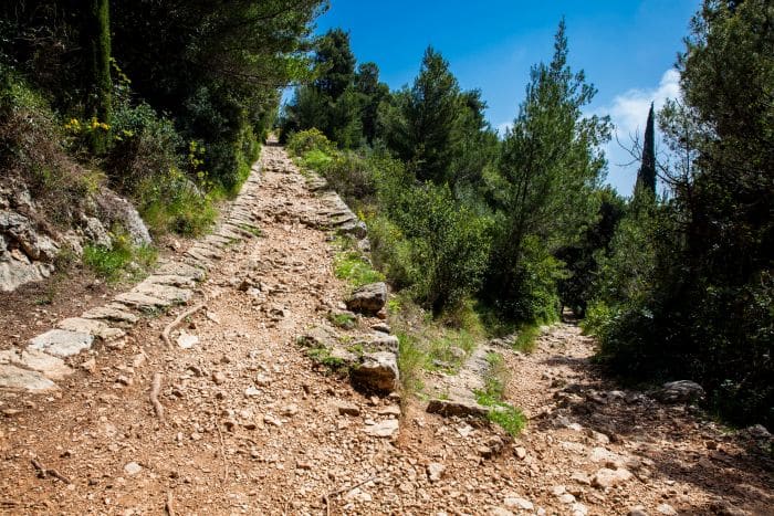 Mount Srd walking trail