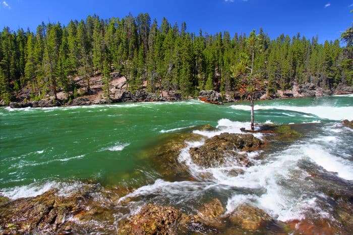 Rapids on the Yellowstone River