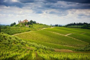 Tuscan Landscape between Siena and Florence
