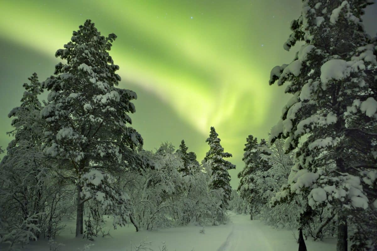 Northern Lights in Finnish Lapland