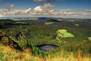 View of the Black Forest