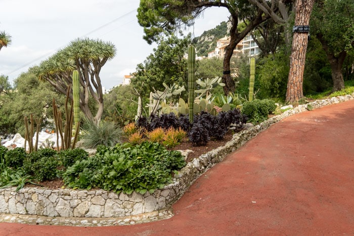 Gibraltar Botanic Gardens