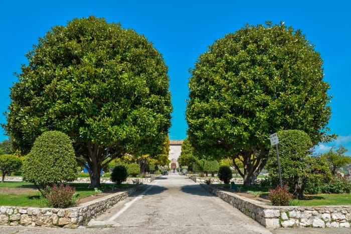 Gardens on the hill of Cimiez