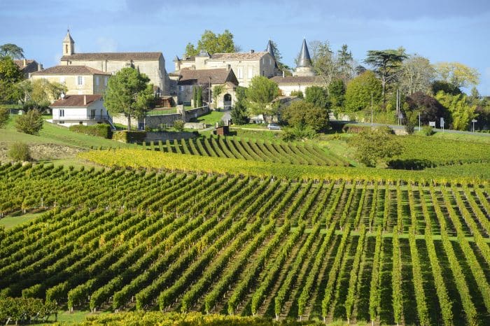 Vineyards of Saint Emilion near Bordeaux