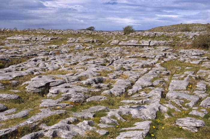 Burren National Park