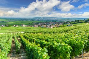 Champagne Region of France