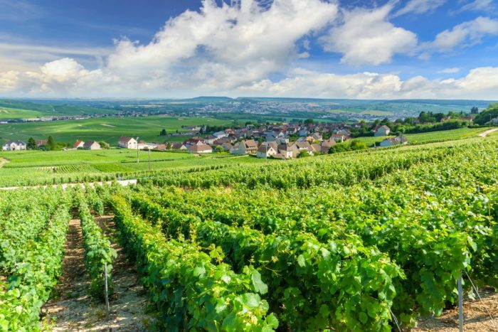 Champagne Region of France