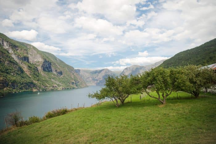 Nature near Flam