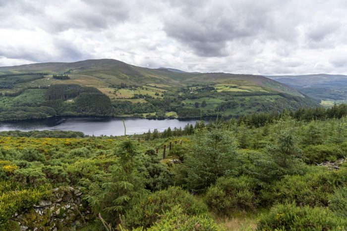 Wicklow Mountains